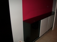 Picture 1877